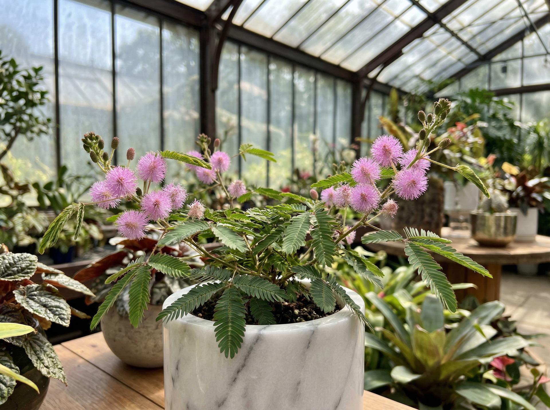 玩物社区热门玩物社区